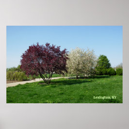 Moo landschap met bomen poster