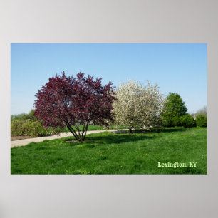 Moo landschap met bomen poster