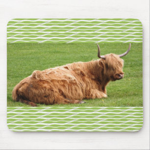 Moo Muismat