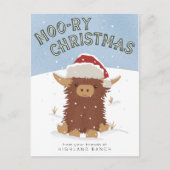 Moo-ry Kerstmis schattig shaggy Highland koe Santa Briefkaart (Voorkant)