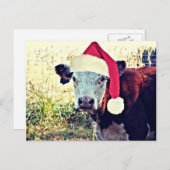 Moo van de vakantie Koe Feestdagenkaart (Voorkant / Achterkant)