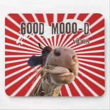 Moo-ve Through Work: Goede Moo-d vibes