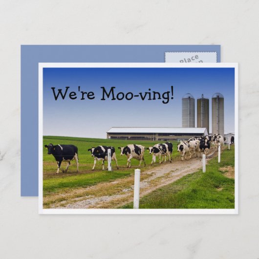 Moo-ving, grappige Koe Aankondigingskaart (Voorkant / Achterkant)