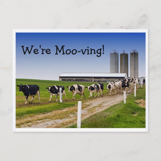 Moo-ving, grappige Koe Aankondigingskaart (Voorkant)