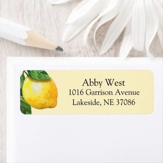 Moo Waterverf Citroen Retouradres Sticker (Insitu)