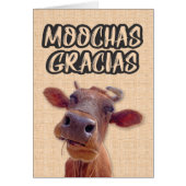 "Moochas Gracias" Koe - Hartelijk dank (Voorkant)