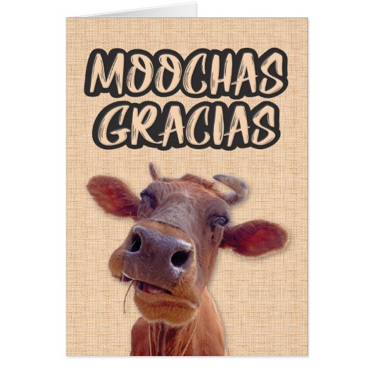 "Moochas Gracias" Koe - Hartelijk dank (Voorkant)