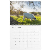 Moochi The Mini Cow 2018 Agenda Kalender (Feb 2027)