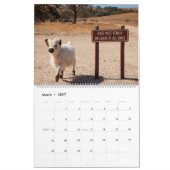 Moochi The Mini Cow 2018 Agenda Kalender (Mar 2027)