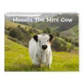 Moochi The Mini Cow Calendar Kalender (Hoes)