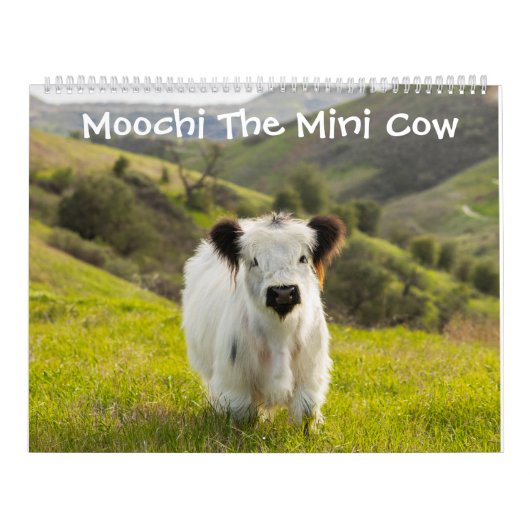 Moochi The Mini Cow Calendar Kalender (Hoes)