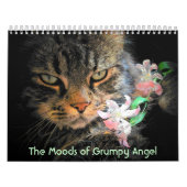 Moods of a Grumpy Angel Kalender (Hoes)