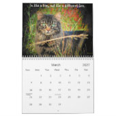 Moods of a Grumpy Angel Kalender (Mar 2027)