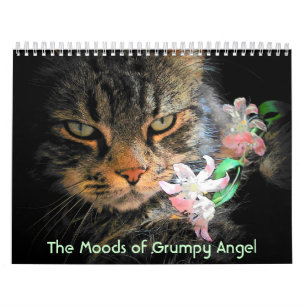 Moods of a Grumpy Angel Kalender
