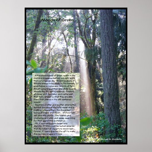 Moods of Green Poster (Voorkant)