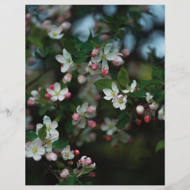 Moody apple tree blooms Scrapbook Paper (light) (Voorkant)