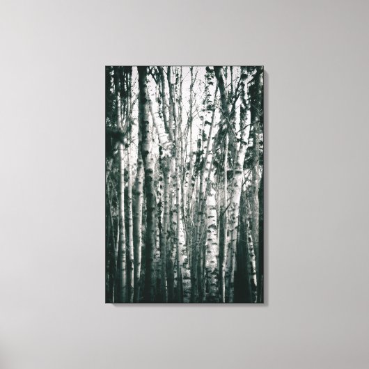 Moody berken in bos Monochroom Canvas Afdruk (Voorkant)