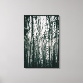 Moody berken in bos Monochroom Canvas Afdruk