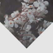 Moody Bloem Tissuepapier (Detail)