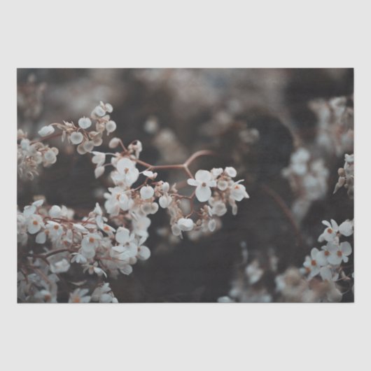 Moody Bloem Tissuepapier (Voorkant)