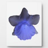 Moody Blue Dripping Daffodil Plaque Fotoplaat (Voorkant)