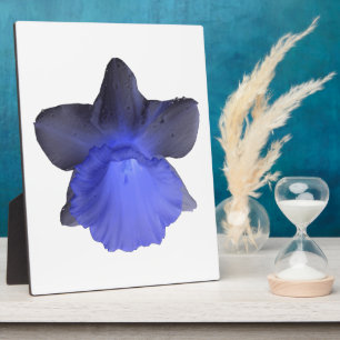 Moody Blue Dripping Daffodil Plaque Fotoplaat