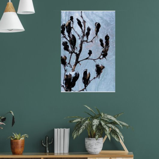 Moody Blues Natuur Pods Poster (Woonkamer 1)