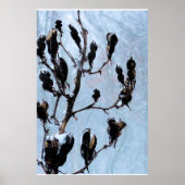 Moody Blues Natuur Pods Poster (Voorkant)