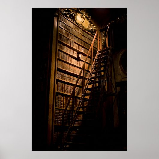 Moody Books Mirrored Poster (Voorkant)