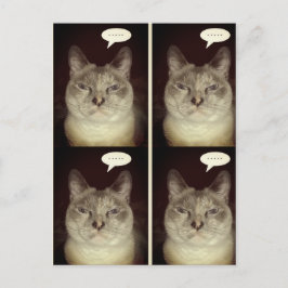 Moody Cat Briefkaart