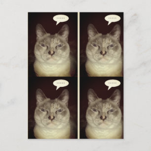 Moody Cat Briefkaart