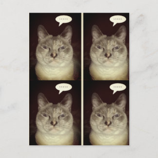 Moody Cat Briefkaart