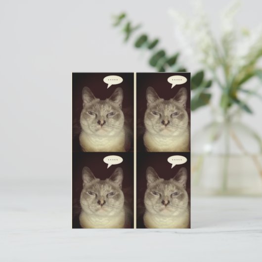 Moody Cat Briefkaart (Staand voorkant)