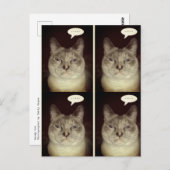 Moody Cat Briefkaart (Voorkant / Achterkant)