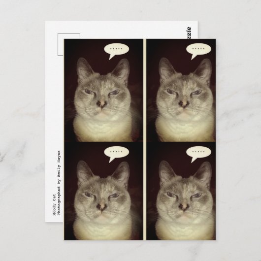 Moody Cat Briefkaart (Voorkant / Achterkant)