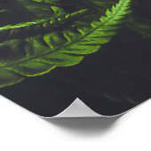 Moody Dark Green Fern Leaves Botanical Nature Poster (Hoek)