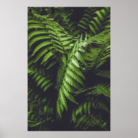 Moody Dark Green Fern Leaves Botanical Nature Poster (Voorkant)