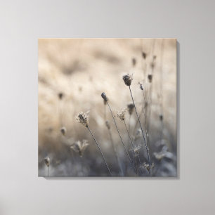 Moody Dried Queen Anne's Lace Neutral Botanical Canvas Afdruk