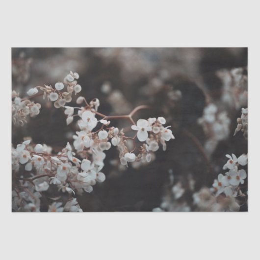 Moody Floral Tissuepapier (Voorkant)