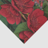 Moody Florals Black en Burgundy  Tissuepapier (Detail)