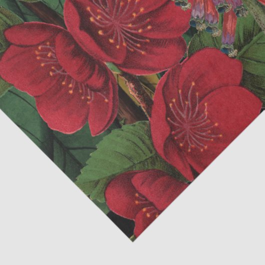 Moody Florals Black en Burgundy  Tissuepapier (Detail)