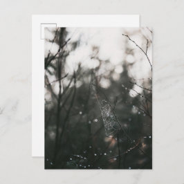 Moody Forest Dew Spider Web Briefkaart