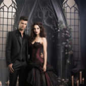 Moody Gothic Dark Alter Bourgogne Bloemen XLarge Wandkleed