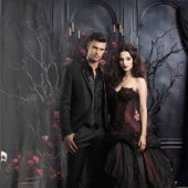 Moody Gothic Dark Room met Mauve Rozen XLarge Wandkleed