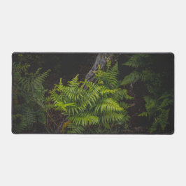 Moody green forest scene with ferns bureaumat