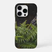 Moody green nature theme with ferns iPhone hoesje (Achterkant)