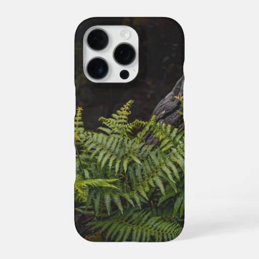 Moody green nature theme with ferns iPhone hoesje (Achterkant)
