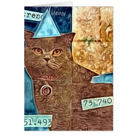 Moody Kat (Voorkant)