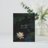 Moody Lily Pad Pond Nature Briefkaart (Staand voorkant)