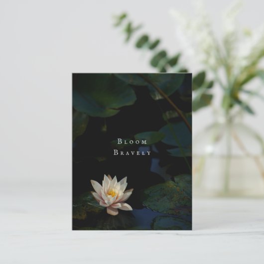 Moody Lily Pad Pond Nature Briefkaart (Staand voorkant)